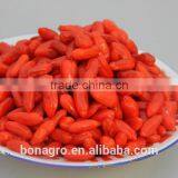 new crop certified organic NingXia Goji Berry free sample