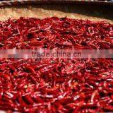 High Quanlity Dry Red Hot Chaotian Chilli Exporter From China thumbnail-1
