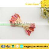 Queen Bee Tool Royal Jelly Pen/plastic Grafting Tool for Beekeeping