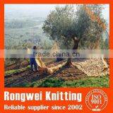 New Fashin PE Plastic Olive Nets Made in China With High Resistance