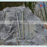 Hardened Steel Colorful Concrete Nails From China thumbnail-3