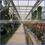 Modern Greenhouse for Agriculture thumbnail-3