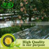 High Quality Agricultural Reflective Silver Mulch Film thumbnail-2