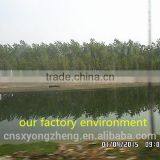 High Protein (53%) Dried Mealworm For Wild Tortoise Treat thumbnail-2