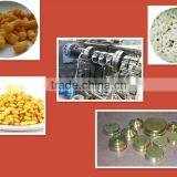 Jinan Inflated Corn Snack Food Machine/production Line +86-15550025206