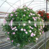 Ball Shaped Planters, Hanging Ball Planter , Big Ball Planter thumbnail-1