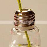 Clear Lamp Bulb Shape Glass Vases for Home Decoration thumbnail-4