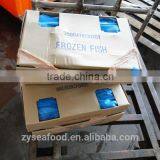 Frozen Sardine Sardinops Melanosticta thumbnail-4