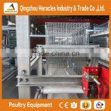 Trade Assurance Factory Price H Type Chicken Layer Cage for Broiler thumbnail-2