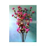 HLF-007 Sola Handmade Deco Bunches thumbnail-1