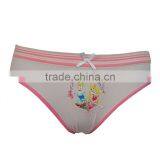 Sexy Ladies Briefs Hot Sale Women Underwear Panties Fancy Seamless Briefs thumbnail-1