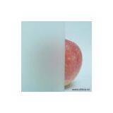 Sell Sand Blasted Glass thumbnail-1