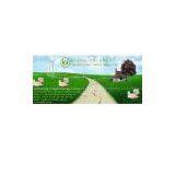 Legendary Ginger Co. Ltd. company overview - view 1 thumbnail