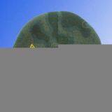 Sell Skull Hat thumbnail-1