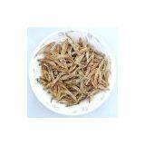 Freeze Dried Fresh Water Fish