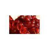 Pomegranate juice concentrate with high quality