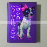Lighting up Gift Personal Article Colorful Shiny Cartoon Character Notepad