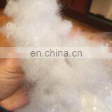 Polyester Non-Woven Indoor/Outdoor Pillow Form thumbnail-2