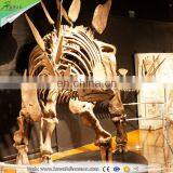 KAWAH Exibithion Life Size Stegosaurus Dinosaurs Fossils For Sale thumbnail-1