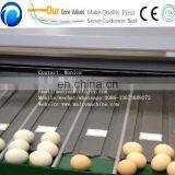 5 Grade Automatic Egg Grading Packing Machine , Egg Weight Grading Machine thumbnail-6
