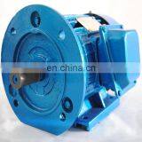 IP44 YC Series Single-phase Induction Motor thumbnail-1