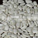 Flat White Kidney Beans thumbnail-1