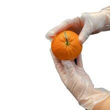 Powder Free Pvc Plastic Vinyl Gloves China thumbnail-5