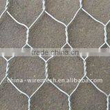 Hot-dipped Galvanized Hexagonal Wire Mesh