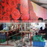 Tianjin Taibo International Trade Co., Ltd. company overview - view 3 thumbnail