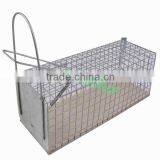 The Bottom of The Wooden Rat-trap