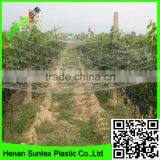 High Quality Virgin HDPE Crops Top Cover Anti-bird Stretch Net thumbnail-3