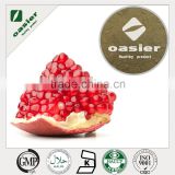 best free sample polyphenol,HACCP KOSHER FDA pomegranate extract,40% pomegranate leaf
