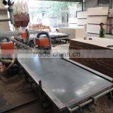 Woodworking Saw/cutting Machine /plywood Table Saw/DD Saw/Plywood Triming Saw thumbnail-3