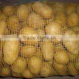 New Crop Potato Export to Dubai With High Quality thumbnail-1