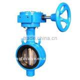 Cast Iron Wafer Type PTFE Butterfly Valve