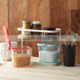 Functional plastic container boxes for spice with enclosed spoon