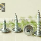White zinc modified truss head self tapping screw to wood