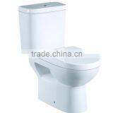 China Sanitary Ware the Top 10 Brands Washdown Two Piece Toilet
