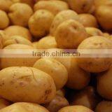 Fresh Potatoes thumbnail-1