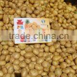 Potato Exporter Karachi thumbnail-1