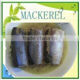 canned mackerel fillets in oil