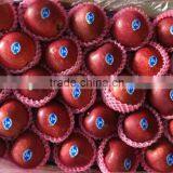 High Quality Red Mature Huaniu Apple Exporter in China thumbnail-1