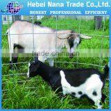 Cheap Top Quality Galvanized Steel Fence / Farm Fence thumbnail-1