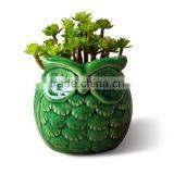Hot Sale Customzied Color Glazed Ceramic Chinese Ceramic Owl Flower Pots thumbnail-1