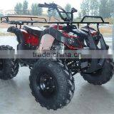 Small Beach Buggy Truck For Young Man Race On Beach thumbnail-6