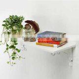 Morden Design Decrative Metal Flower Shelf Sales Promotion Flower Stand thumbnail-2