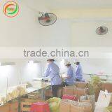 Hot Sales 2017 - Disposable Wooden Chopsticks 203.x4.3mm; 4.5mm; 4.8mm Export to Japan, Korea thumbnail-4