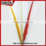 50-55cm Assorted Color Dyed Pheasant Tail Feathers thumbnail-1