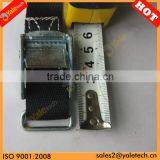 TUV/GS Approved 1" Luggage Tie Down Straps/cam Buckle Lashing/lashing Tie Down
