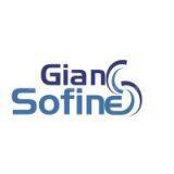 Sofine Gian PIM Tech Co., Ltd.